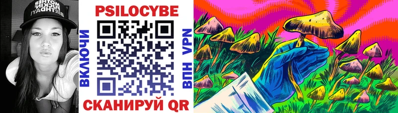 Галлюциногенные грибы прущие грибы  Мглин 